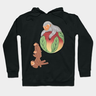 Cute Mischievous Japanese Monkeys Kawaii Hoodie